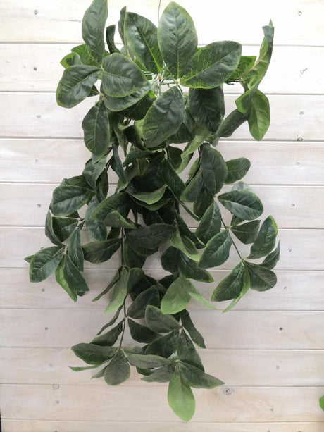 Luxurious 80cm artificial hanging magnolia leaf bush with rich greens, perfect for elegant decor in any room.