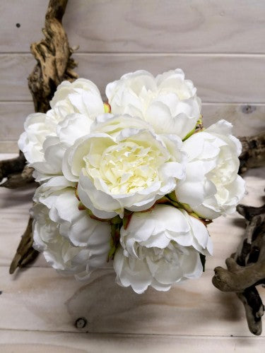 Cream peony bouquet featuring 6 individually stemmed heads, perfect for elegant arrangements and versatile décor.