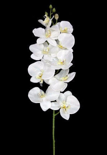 Lifelike 101cm White Orchid floral stem, perfect for elegant home decor and versatile arrangements, ideal for weddings and displays.