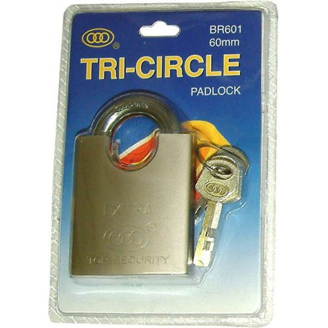 Hardened steel 60mm padlock with secure shackle, ideal for gates, padbolts; includes 3 keys for convenience.