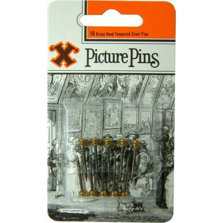 Brass head picture pins in a blister pack of 10, perfect for stylishly hanging artwork and photos with ease.