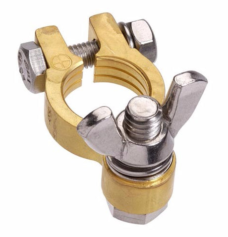 Term F/Brass Wingnut from PROJECTA, premium brass terminal for secure electrical connections, 5/16" size, pack of 1.