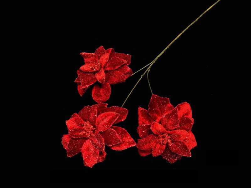 Red artificial iced poinsettia spray set of three, perfect for festive holiday decor with a frosted winter look.
