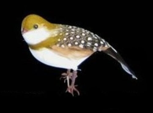 Medium partridge ornament, 7.5cm, beautifully crafted for holiday decor, perfect for trees and festive displays.