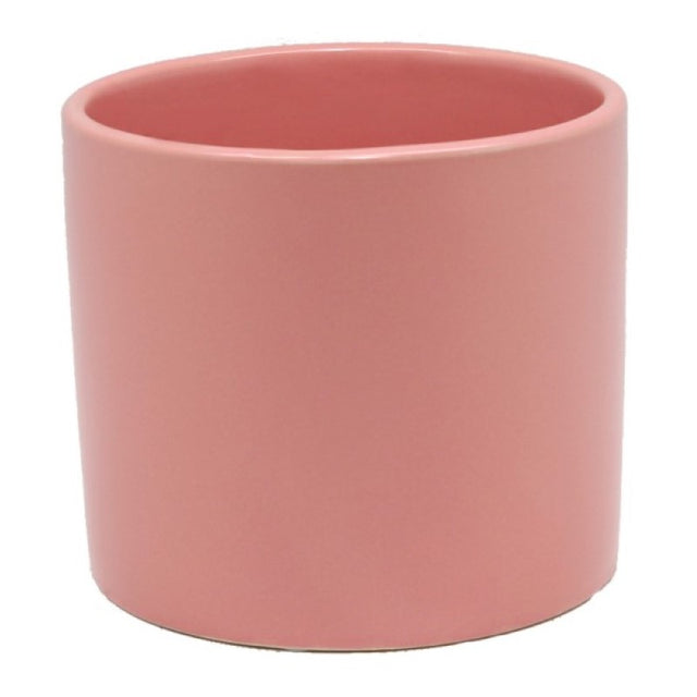 Dusky pink ceramic cylinder vase/planter, perfect for vibrant blooms or lush greenery in any setting.
