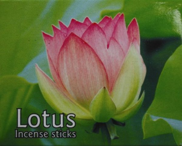 Kamini Lotus Cones with a soothing fragrance, perfect for meditation, relaxation, and enhancing tranquil home ambiance.