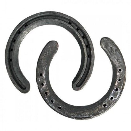 Concave N.Z. Size 6 horse shoes designed for optimal grip and hoof support, ideal for competitive sport horses.