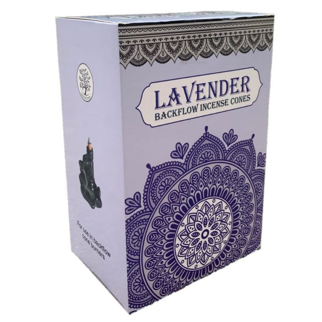 Backflow incense cones in a box of 12, featuring a sweet vanilla-spice aroma for meditation and relaxation rituals.