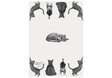 Set of 3 Casual Cats Kitchen Towels featuring charming black and white cat illustrations, soft and absorbent for kitchen use.
