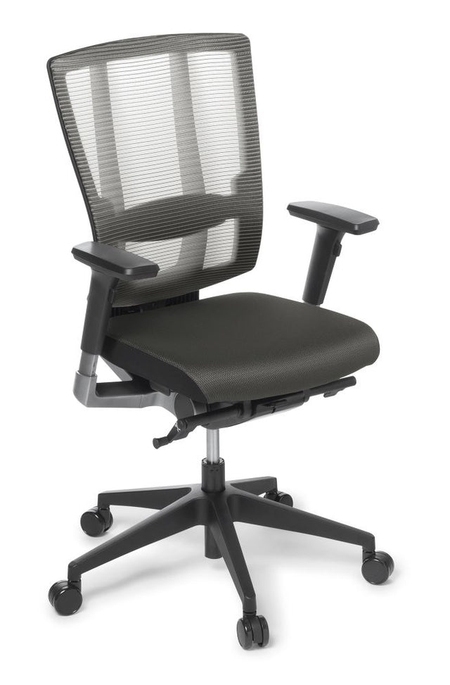 Ergonomic office chair with flex mesh backrest, adjustable lumbar support, and removable armrests for ultimate comfort.