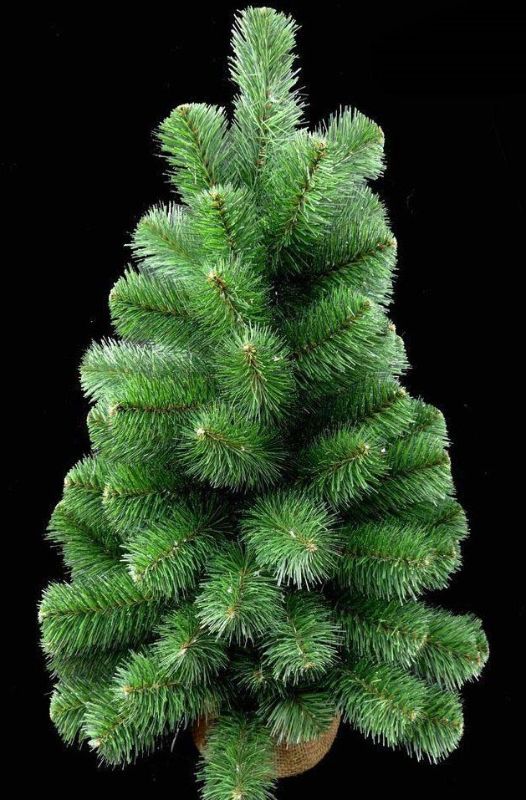Lifelike 24" Artificial Australian Pine Tree in burlap, perfect for adding greenery to small spaces without maintenance.