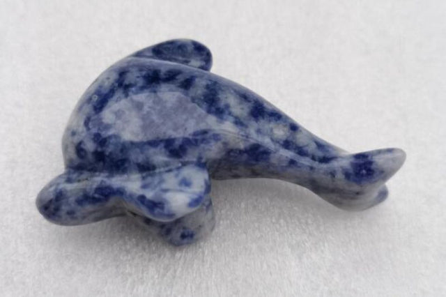 5cm Dolphin Sodalite gemstone featuring deep blue hues and white patterns, ideal for meditation and emotional support.