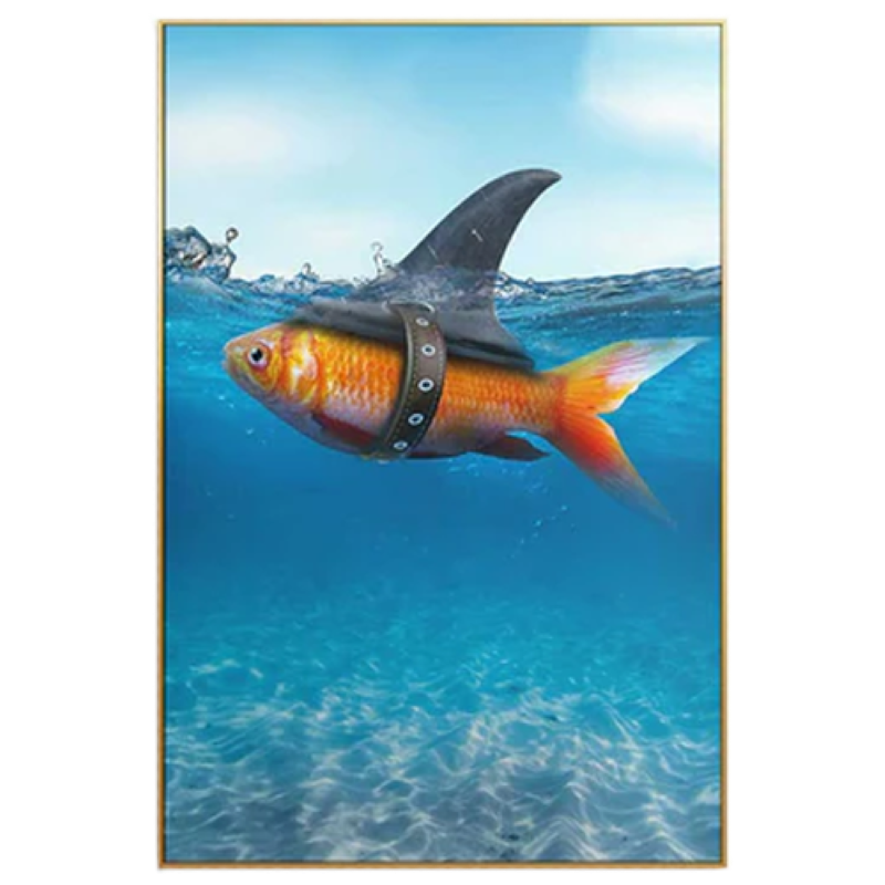 Framed Art Print Canvas - G/Fish to Shark (40 x 60cm)