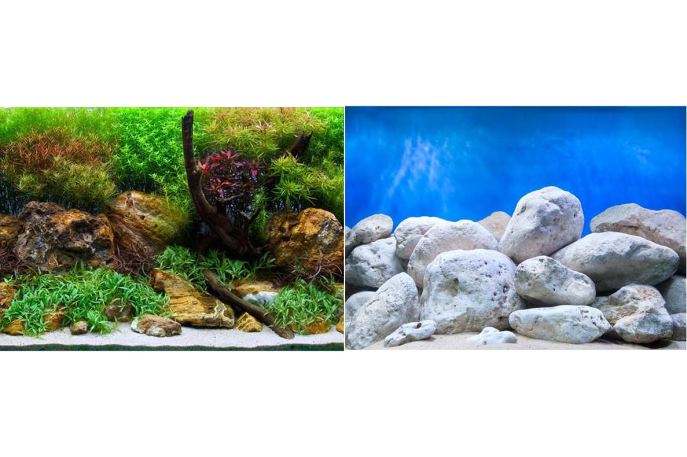 Vibrant Aqua Garden/Bright Stone aquarium background roll enhances aesthetics while concealing equipment for a stunning aquatic display.