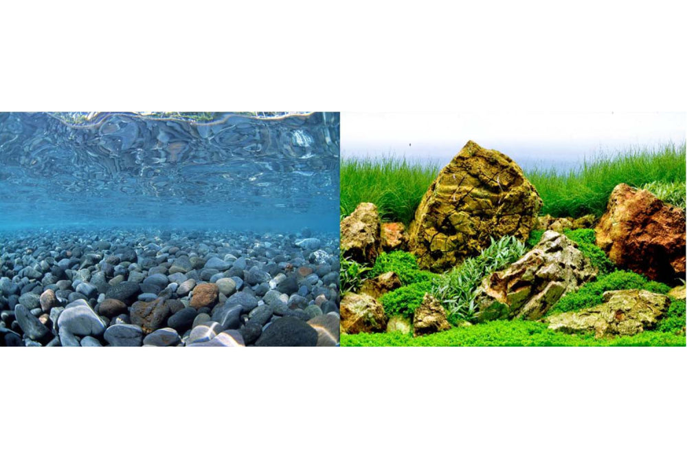 Aquarium background roll featuring lush river rock and vibrant green design for a stunning underwater aesthetic.