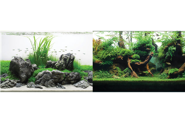 Vibrant 30cm x 15m aquarium background depicting vivid underwater scenery for fresh and saltwater setups.