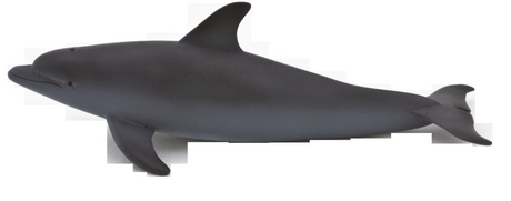Lifelike Animal Planet Bottlenose Dolphin figurine made of non-toxic PVC, perfect for collectors and imaginative play.