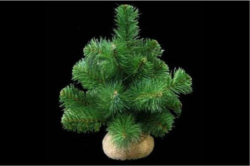Australian Pine Tree ornament with burlap accent, symbolizing strength and rustic charm for festive or year-round decor.