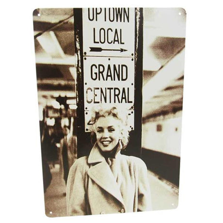 Retro tin wall art featuring Marilyn Monroe, measuring 30cm x 20cm, adding vintage glamour to any room.