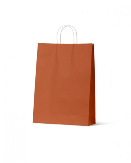 Burnt orange large paper bags from the Earth Collection, eco-friendly and perfect for retail and special events.