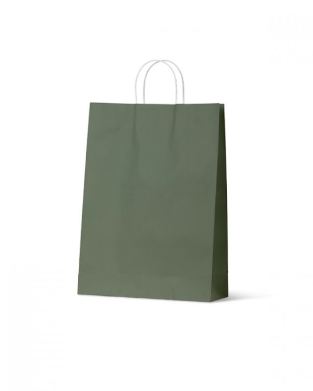 Large Earth Green paper bags from the Earth Collection, eco-friendly, recyclable, perfect for retail or gifts.