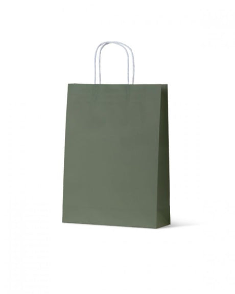 Earth Green medium paper bags from the Earth Collection, 200 units, eco-friendly, biodegradable, stylish for retail and gifts.