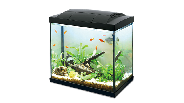 Hailea LED Aquarium 30L in black, featuring advanced LED lighting and HE-200 filter for a vibrant aquatic environment.