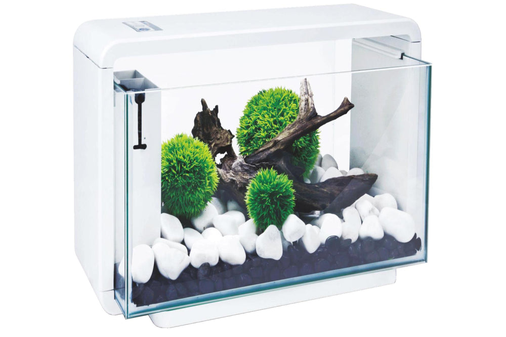 Sleek 40L Hailea E40 Aquarium with LED lighting and RP200 filter, perfect for showcasing fish and plants in small spaces.