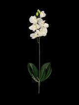 Lifelike white Phalaenopsis orchid spray with lush green leaves, perfect for elegant home decor and special events.