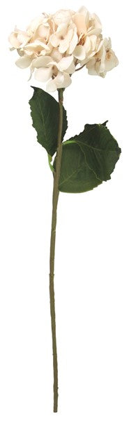 Realistic 75cm cream hydrangea stem, perfect for elegant vase arrangements and lasting home decor accents.