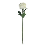 Elegant artificial cream chrysanthemum stem, 57cm tall, ideal for home decor and easy maintenance.