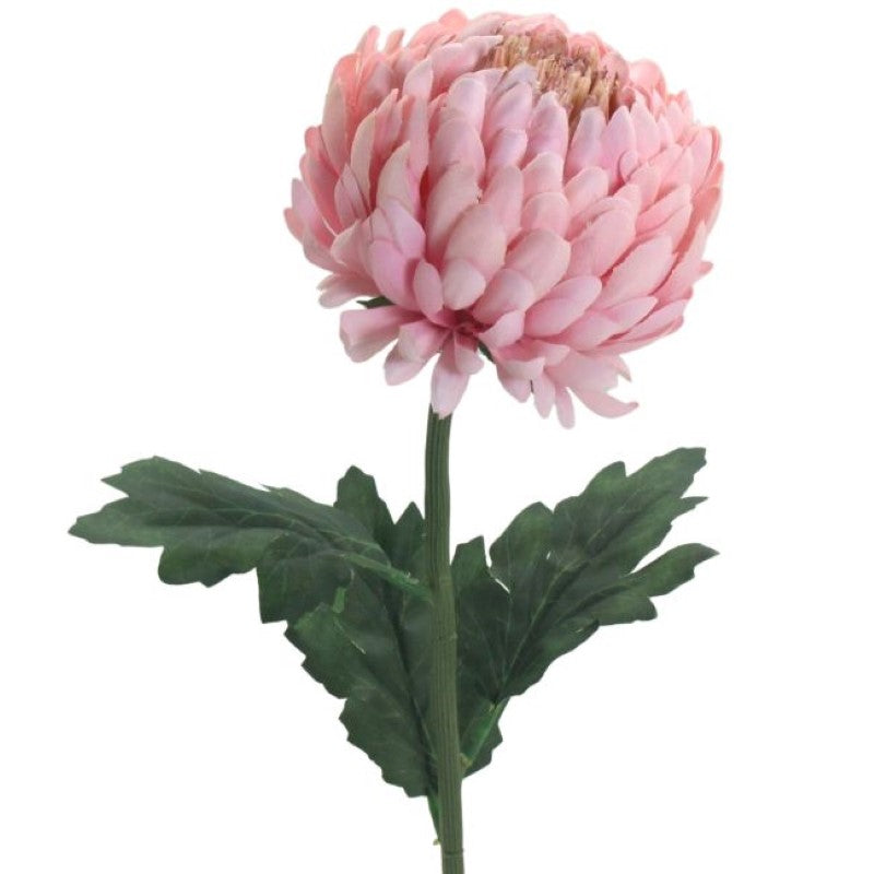 Lifelike pink single stem chrysanthemum, 57cm tall, adds elegance to decor without maintenance. Perfect for vases or arrangements.