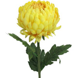 Bright yellow artificial chrysanthemum stem, 57cm tall, perfect for home decor, weddings, or as a thoughtful gift.