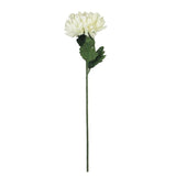 Artificial cream chrysanthemum stem, 56cm tall, lifelike petals perfect for home decor or events.