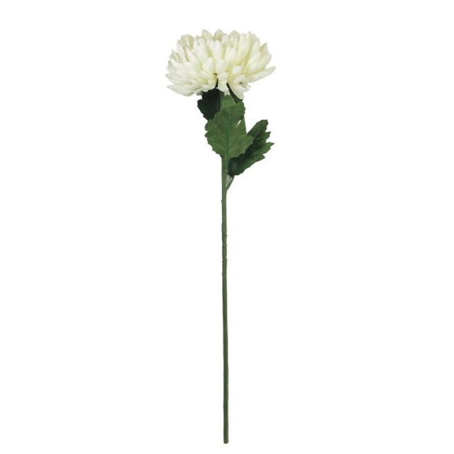 Artificial cream chrysanthemum stem, 56cm tall, lifelike petals perfect for home decor or events.