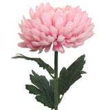 Lifelike pink chrysanthemum stem at 56cm, perfect for elegant home decor and low-maintenance floral arrangements.