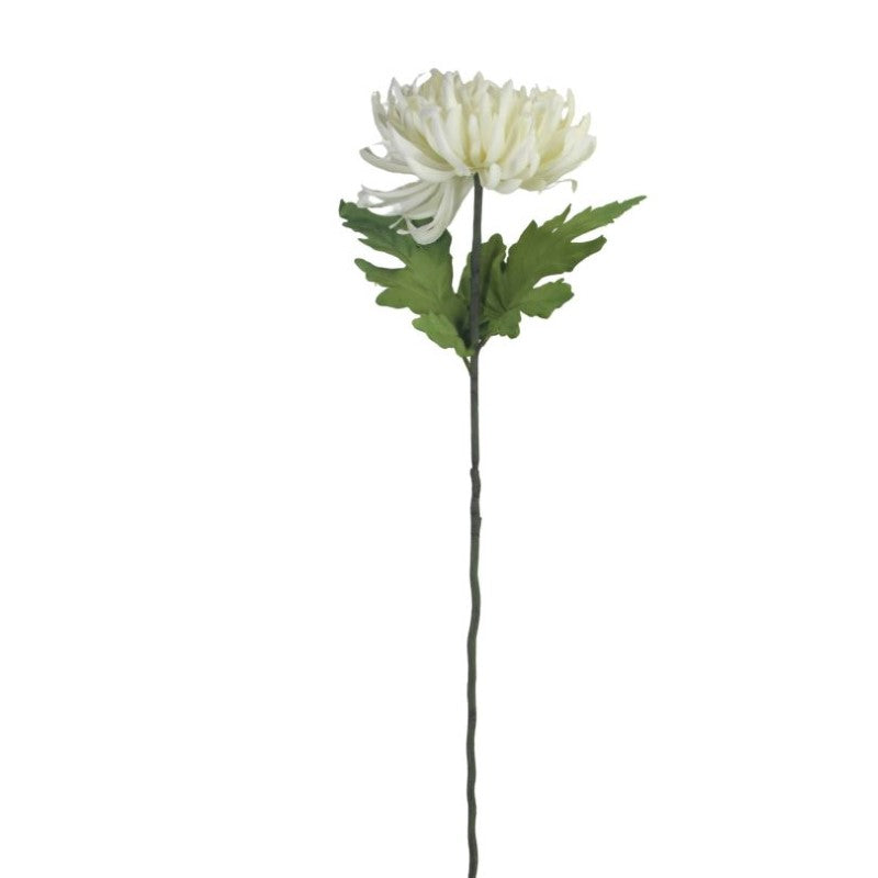Artificial single stem cream chrysanthemum, 73cm tall, perfect for elegant home decor and versatile arrangements.
