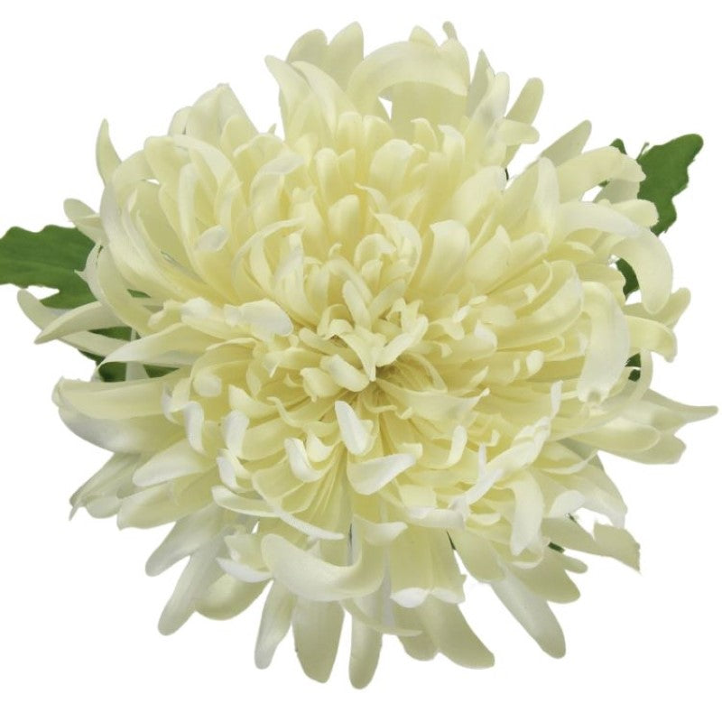 Artificial cream chrysanthemum flower stem, 73cm tall, perfect for elegant home decor and low-maintenance arrangements.