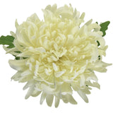 Artificial cream chrysanthemum flower stem, 73cm tall, perfect for elegant home decor and low-maintenance arrangements.