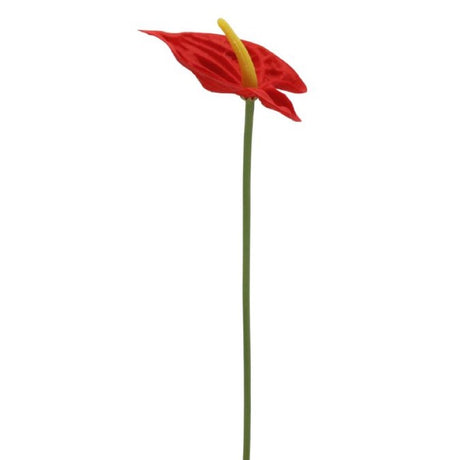 Realistic single red mini anthurium, 34cm tall, perfect for elegant home decor and maintenance-free floral arrangements.