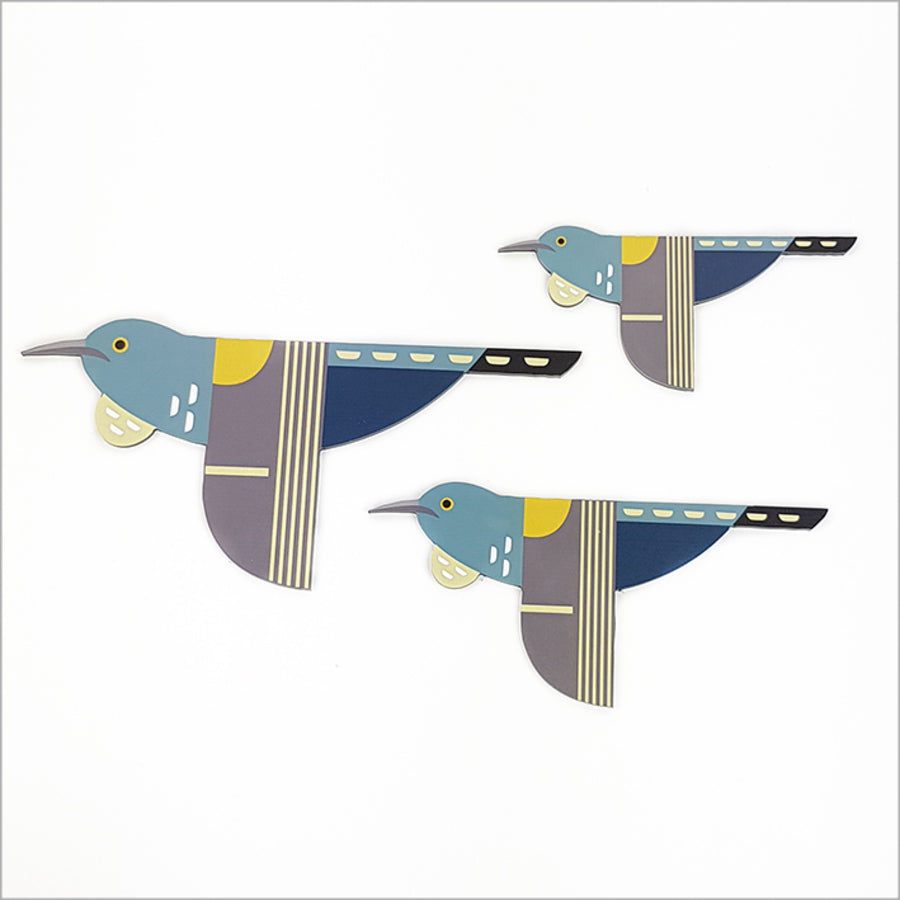 Kiwiana-inspired wall art set featuring three New Zealand birds printed on brushed silver ACM for a modern decor touch.