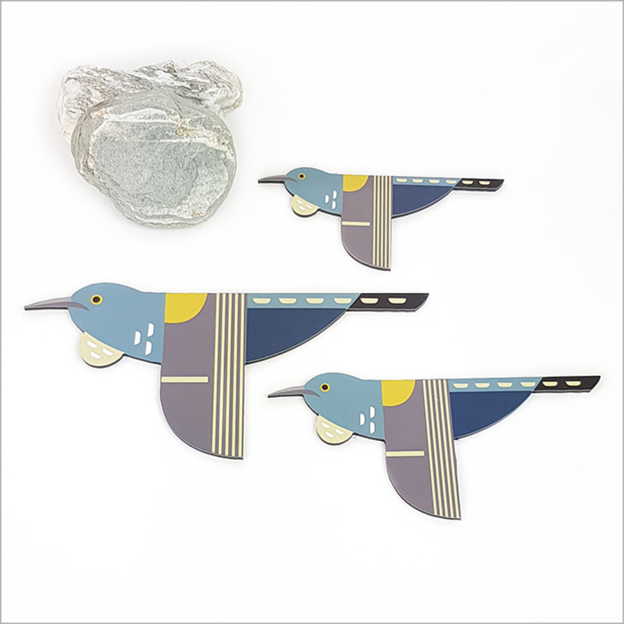 Kiwiana-inspired wall art set of 3 featuring iconic New Zealand birds on ACM brushed silver for versatile home decor.