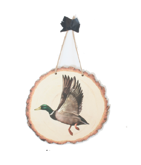 Colourful flying duck wall art printed on eco-friendly pine veneer, ready to hang, measuring 155mm x 145mm.