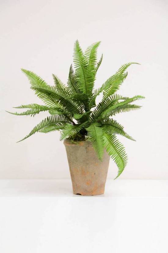 Ladder Fern Bush in vibrant silk, measuring 44cm, perfect for elegant home decor and centerpieces.