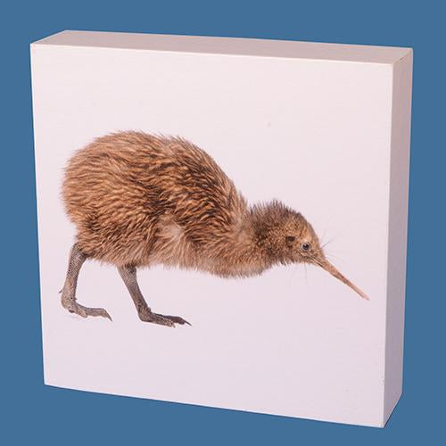 Kiwi Canvas Block featuring a vibrant Kiwi bird design, perfect for home decor or gifting, measures 200mm x 200mm x 50mm.