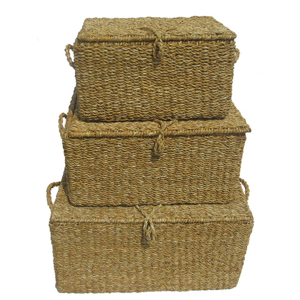 Set of 3 handcrafted seagrass baskets in varying sizes, perfect for stylish eco-friendly home organization.