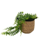 Set of 3 handcrafted seagrass planters with black tops and handles, plastic-lined for moisture protection, ideal for indoor or outdoor use.