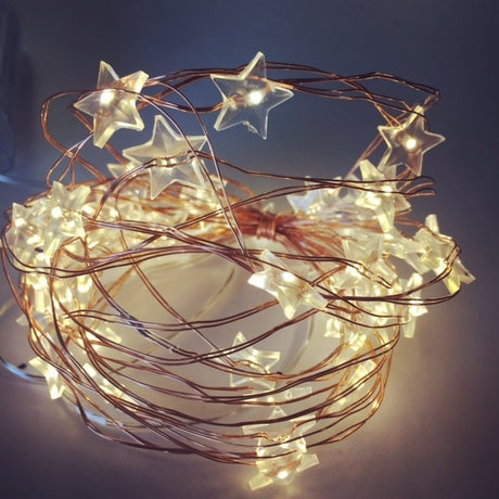 Warm white LED seed fairy lights on 5M copper wire, perfect for creating enchanting indoor decor. 50 LEDs for a magical ambiance.