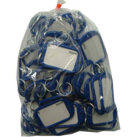 Jumbo blue key tag bag containing 50 durable tags for easy key organization and labeling, each with a convenient ring.