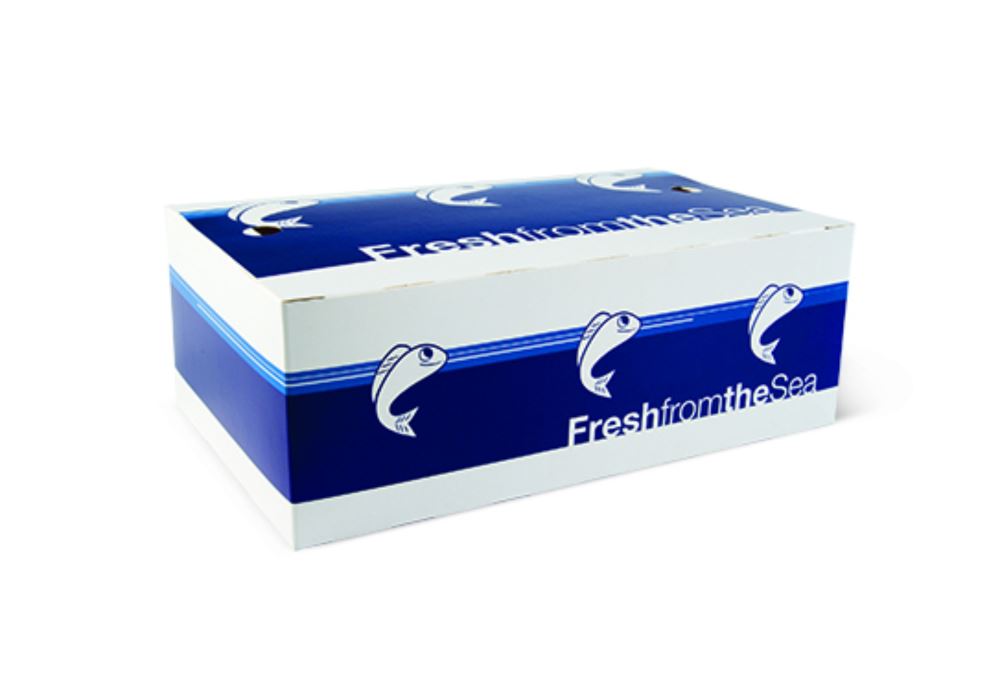Large fish & chip takeaway box with breathable design, sturdy flap, and built-in lid for easy assembly, bulk pack of 250 units.